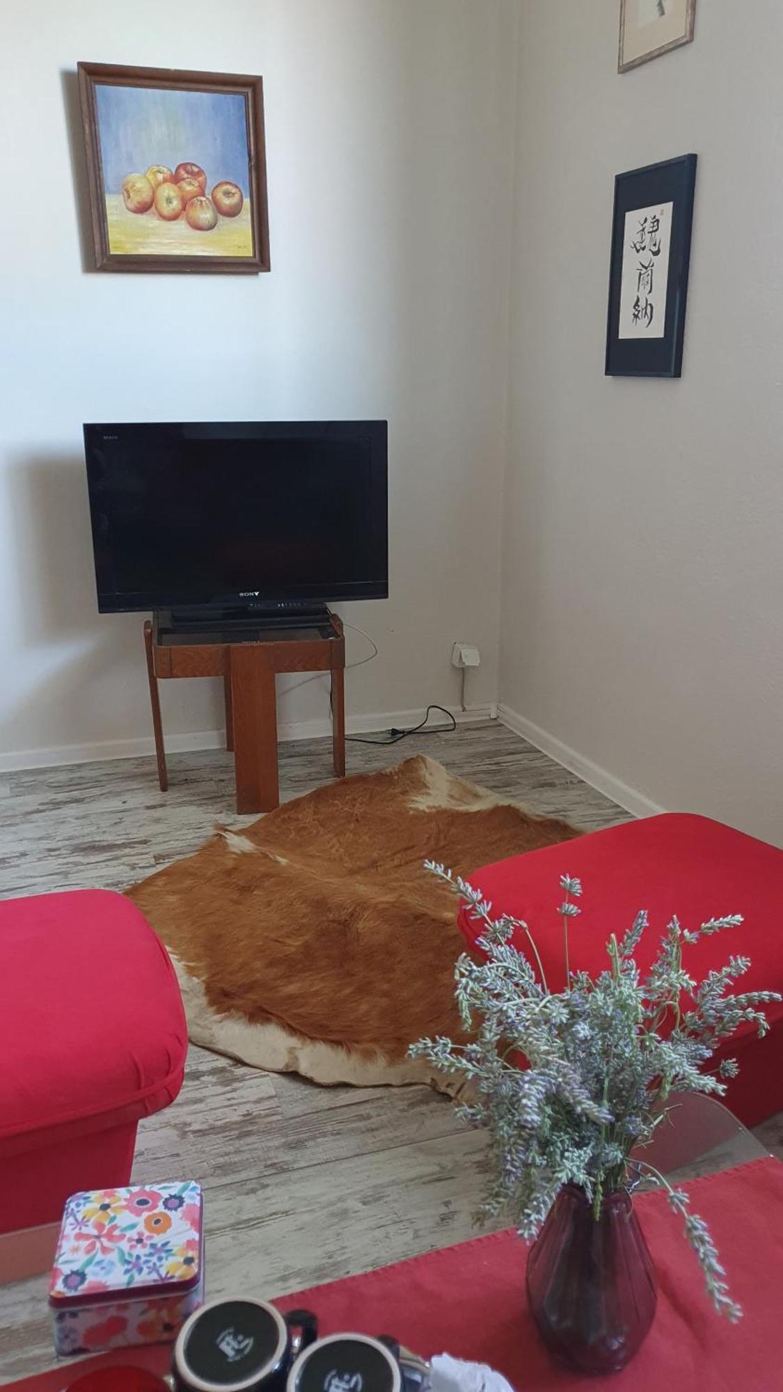 Art Home Приедор Стая снимка